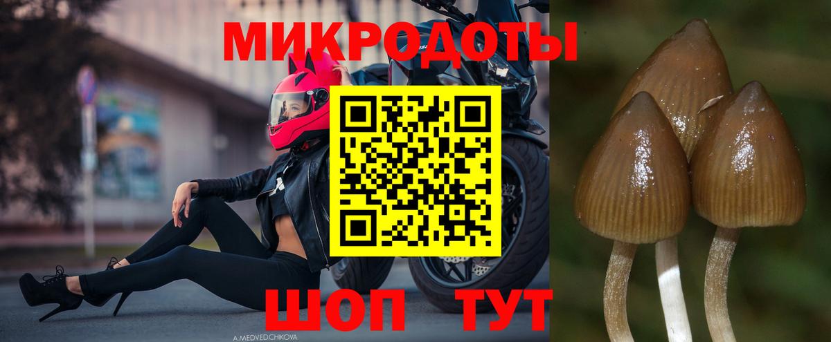 Бошки Шишки Александров