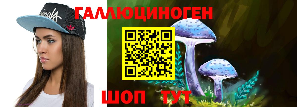 Псилоцибиновые грибы прущие грибы  Псилоцибиновые грибы Cubensis  Вход с VPN  Александров 