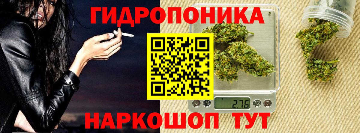 Конопля марихуана Александров